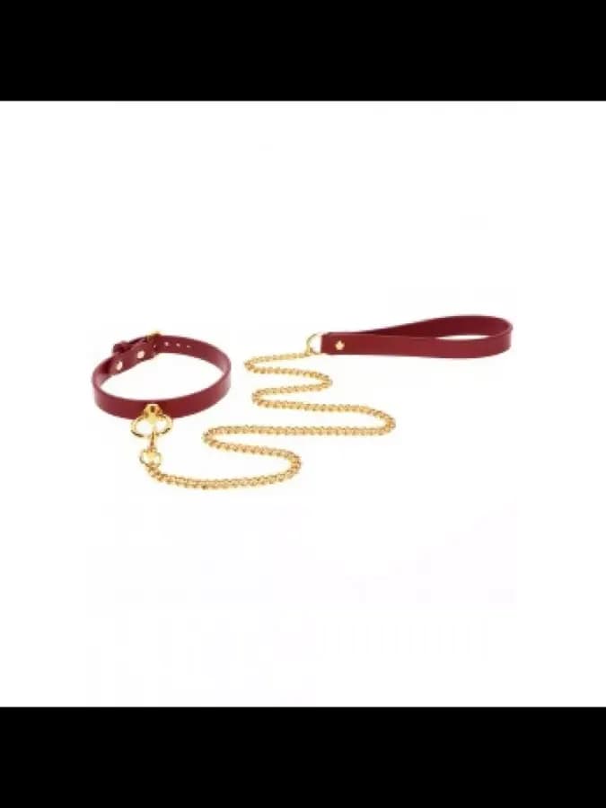 Ошейник с поводком O-Ring Collar and Chain Leash — фото 2