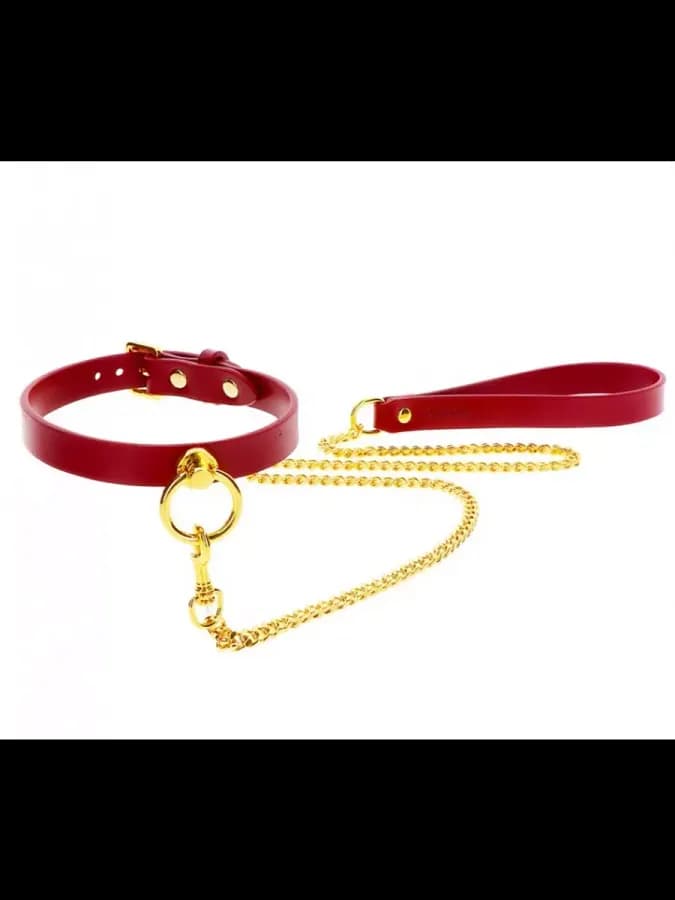 Ошейник с поводком O-Ring Collar and Chain Leash