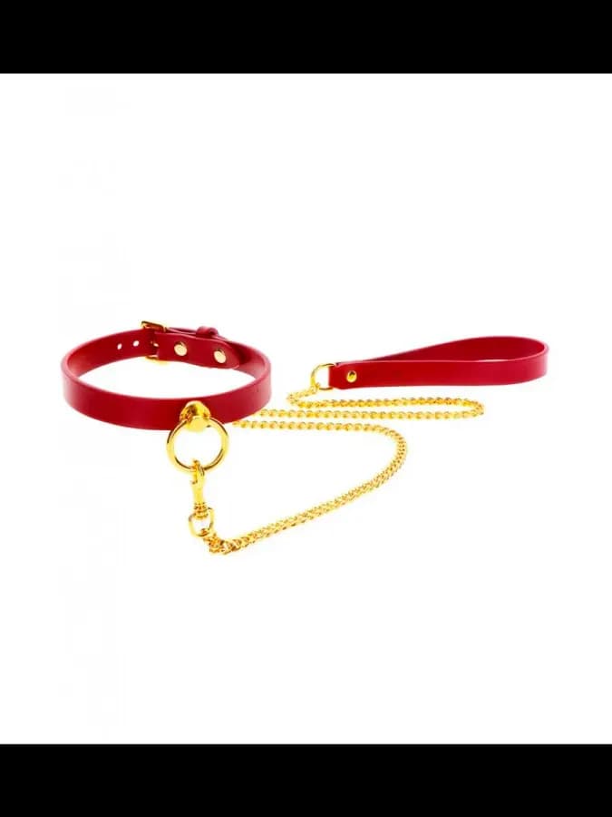 Ошейник с поводком O-Ring Collar