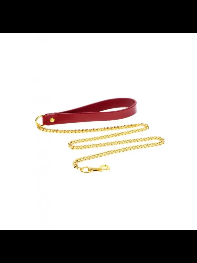 Элитный поводок с золотой цепью Chain Leash