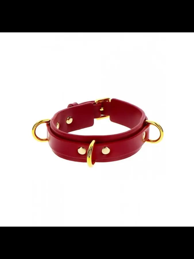 Ошейник d-ring табум стильный черный