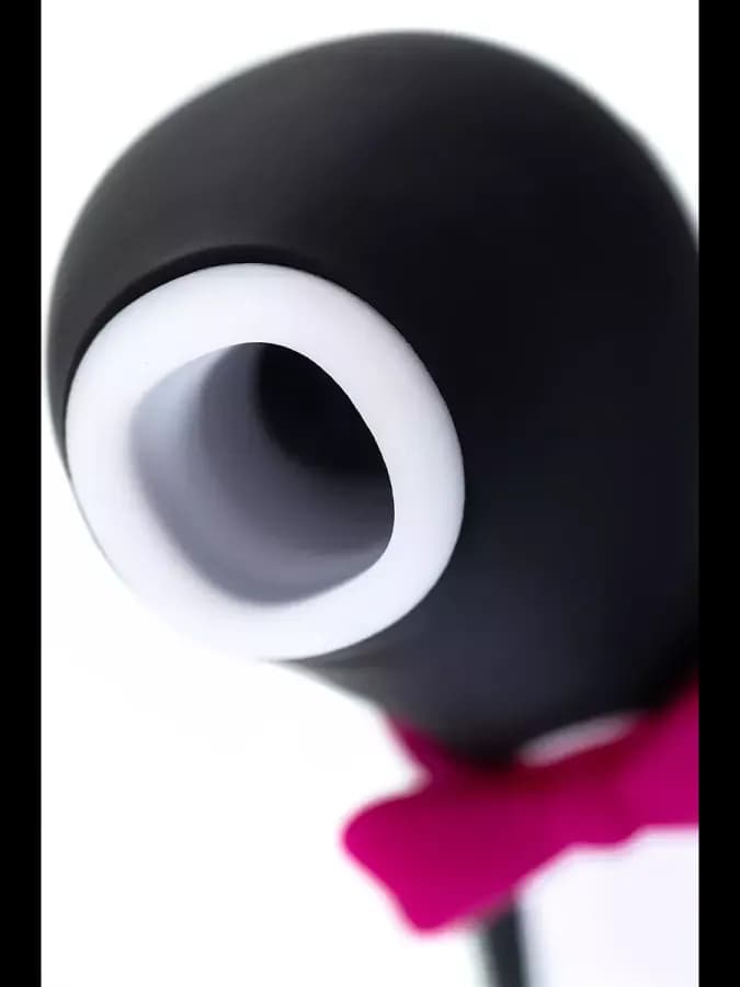 Вакуум-волновой бесконтактный стимулятор Pro Penguin NG — фото 4