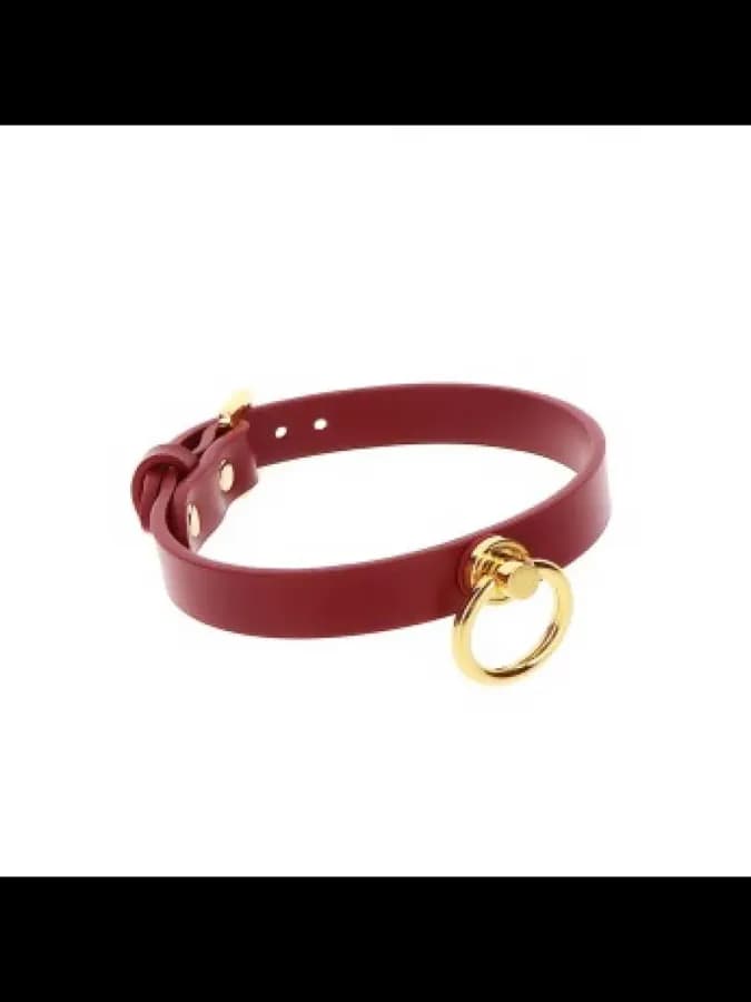 Ошейник-чокер с кольцом O-Ring Collar — фото 3