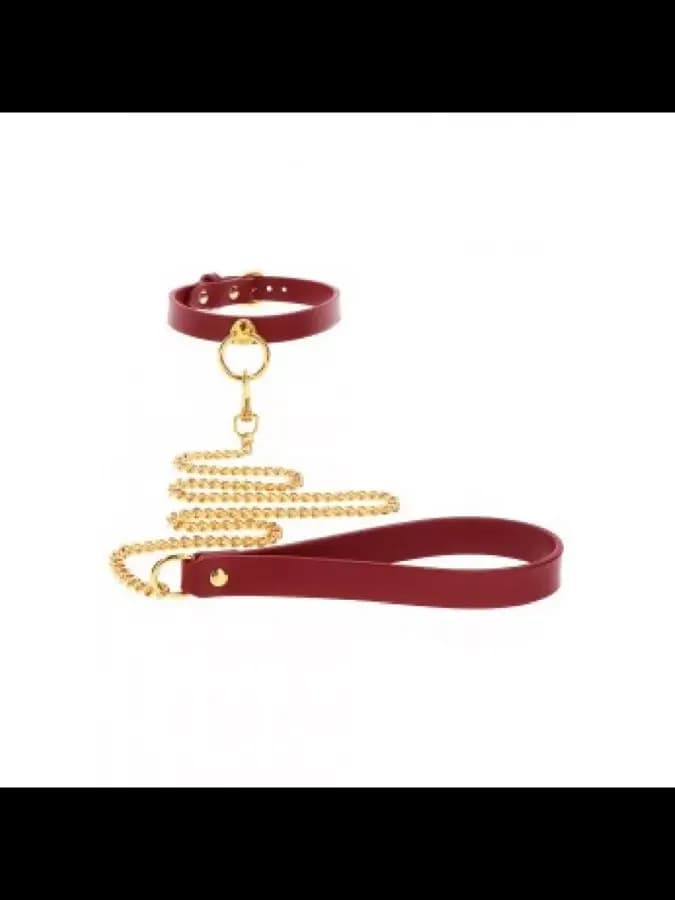 Ошейник с поводком O-Ring Collar and Chain Leash — фото 3