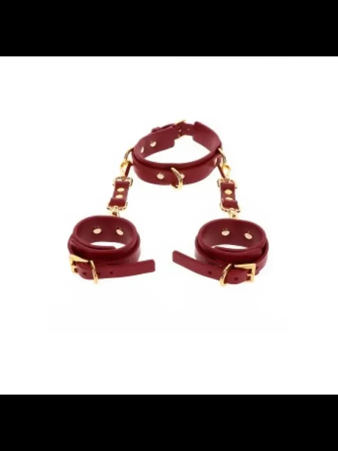 Ошейник и манжеты D-Ring Collar and Wrist Cuffs — фото 2