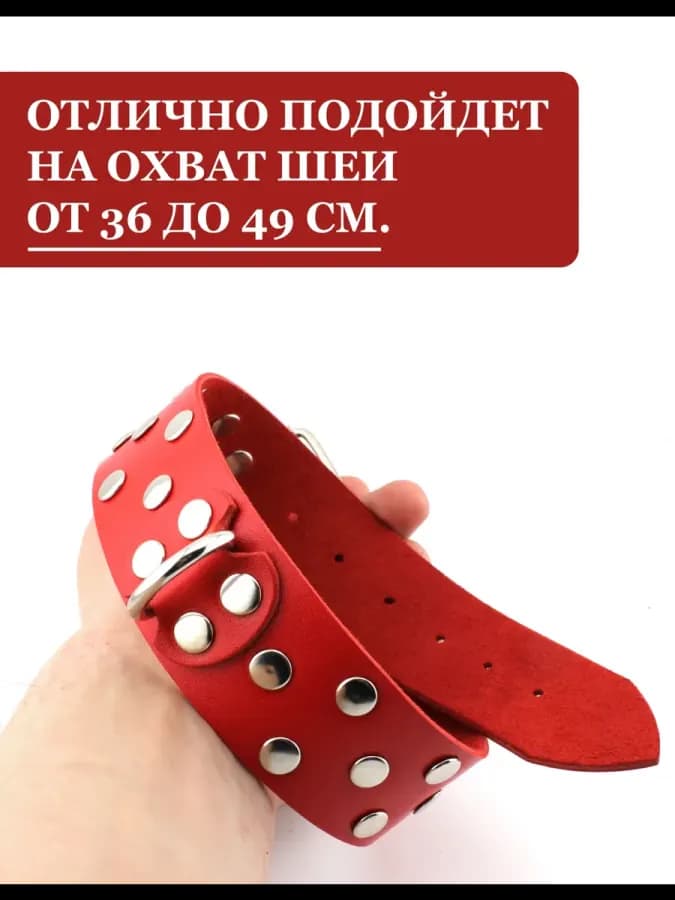 Ошейник бдсм мужской увеличенного размера из кожаный